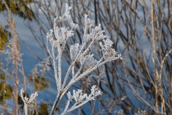 04 10-Feb-13 09-14-19 D300 035